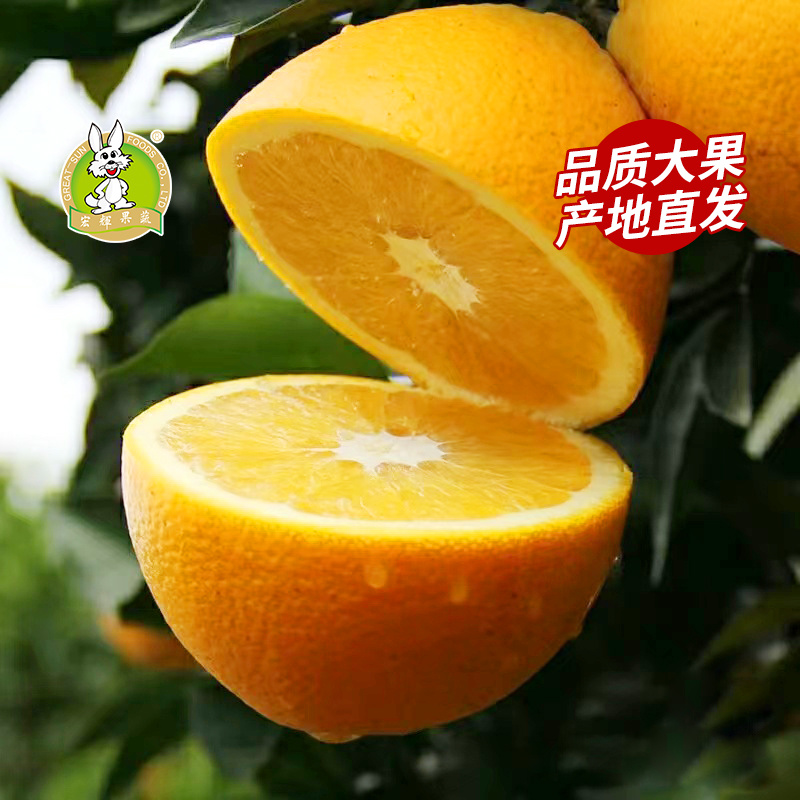 赣州脐橙